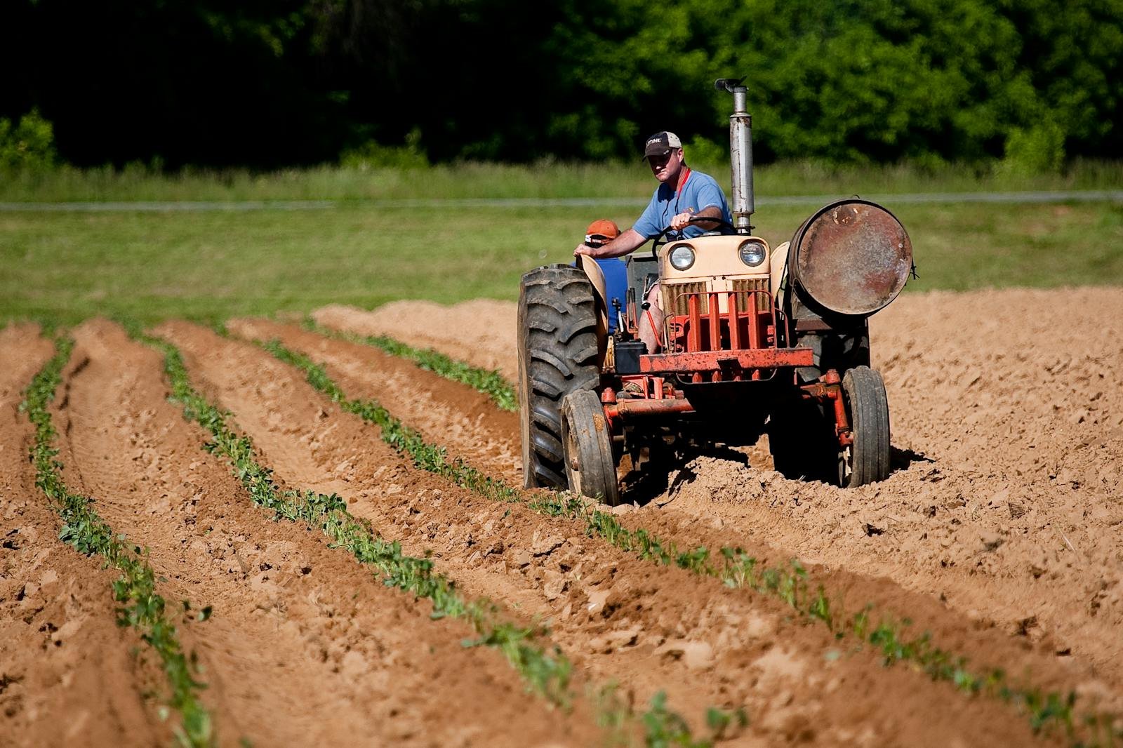 A farmer driving a tractor plowing rows in a rural North Carolina field on a sunny day.